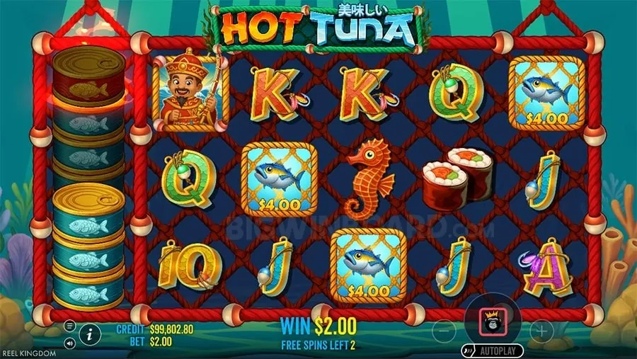 Daily Rewards at 8k8 Casino
